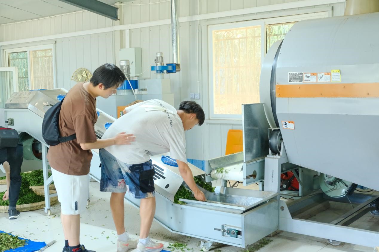 威廉希尔足球官网