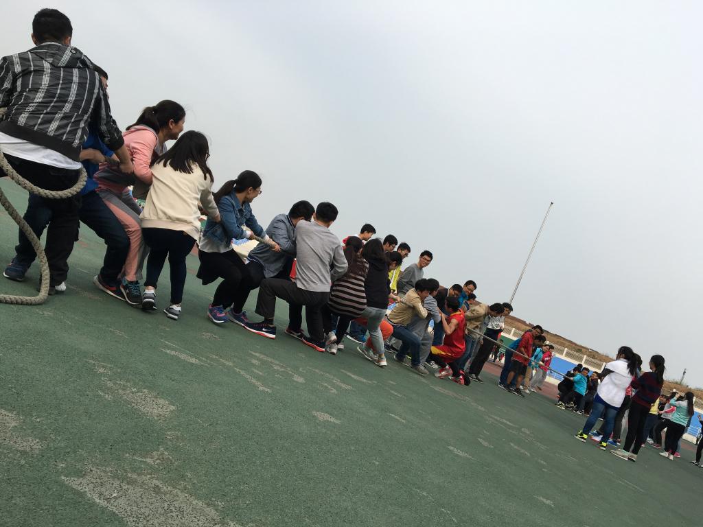 威廉希尔足球官网