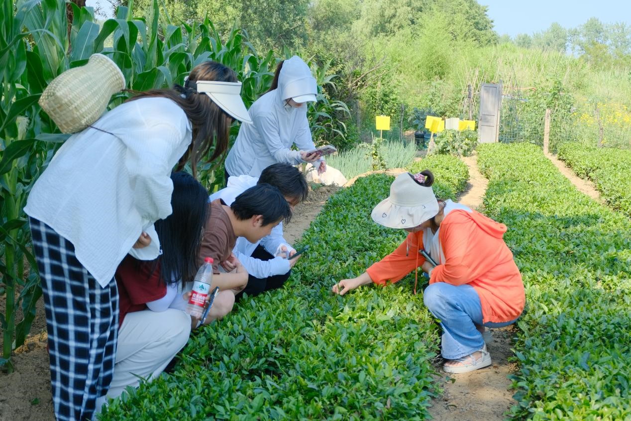 威廉希尔足球官网